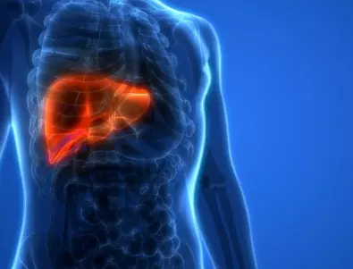 Здрав черен дроб: Това са най-важните витамини за него