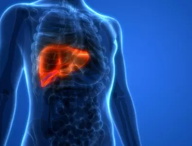 Лекар разкри как захарта влияе на черния дроб