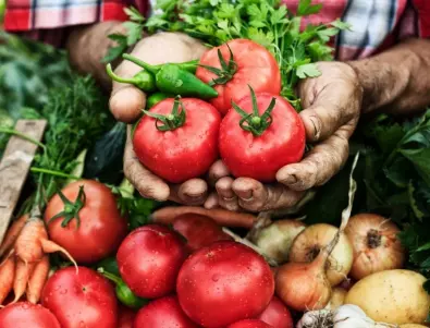 Сода за богата реколта от домати - ето какво трябва да направи всеки градинар