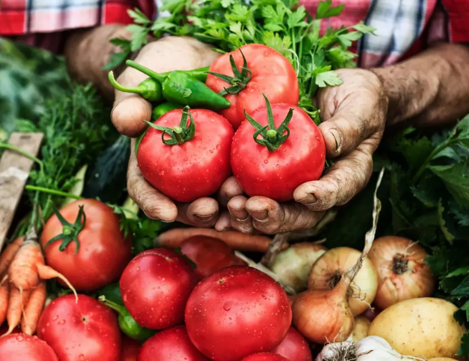 Червен пипер за богата реколта от домати - ето какво правят опитните градинари