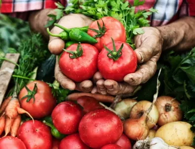 Богата реколта от краставици, чушки и домати - тайната е в този разтвор