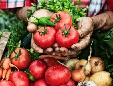3 подправки, с които ще берете домати до късна есен - напръскайте ги с разтвор от тях