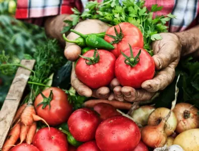 По какво да познаем липсата на фосфор при доматите?