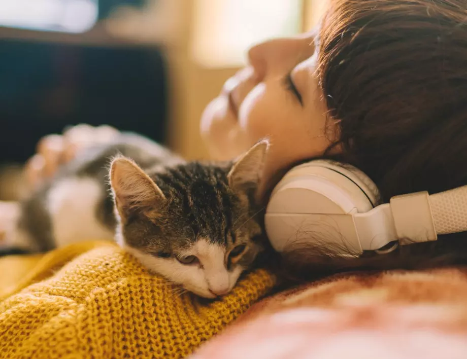 Пухкави лечители: Могат ли котките да променят кармата на човека?