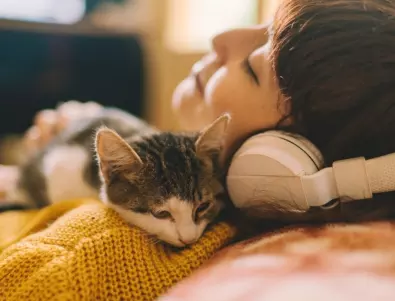Скрити мотиви: Защо котките ни събуждат сутрин и какво ни казват?