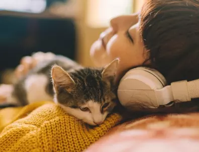 Условия, които трябва стриктно да се спазват, ако спите в легло с котка или куче