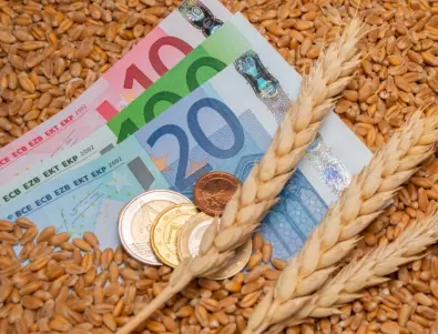 Оттеглянето на Русия от сделката за износ на украинско зърно повиши цената на пшеницата и царевицата