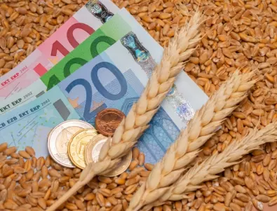 Зам.-земеделски министър: Ще обсъдим на Консултативен съвет какво да правим с украинското зърно