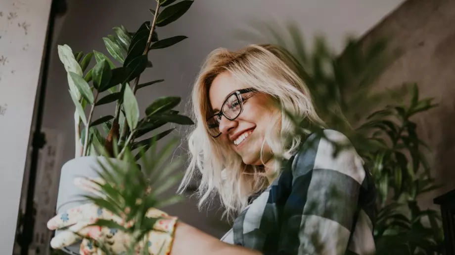 Как да поливаме стайните растения през зимата