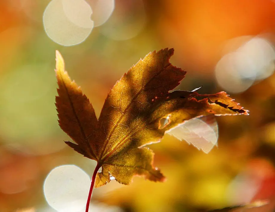 Прогноза за времето - 21 октомври 2022 г. (петък)