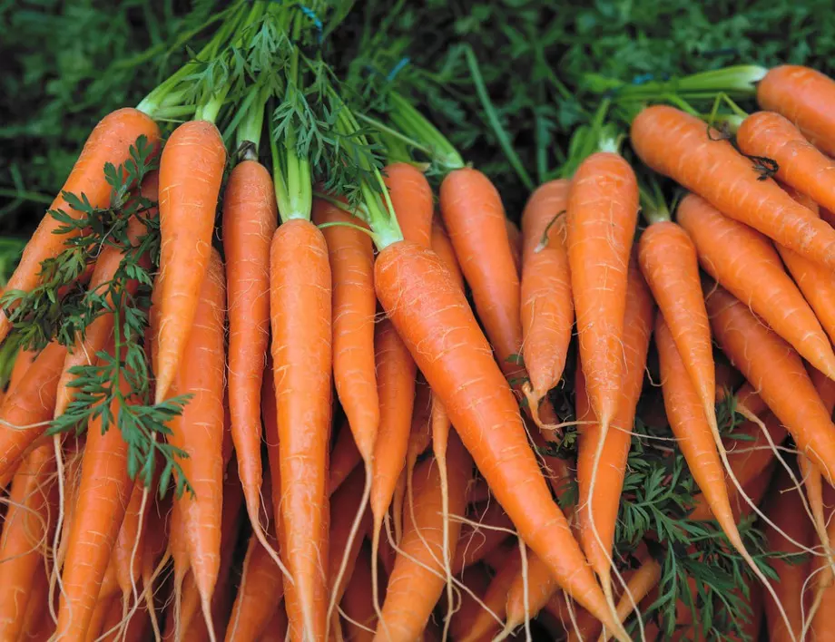 Полейте морковите с това - те ще станат по-едри и по-сладки от всякога