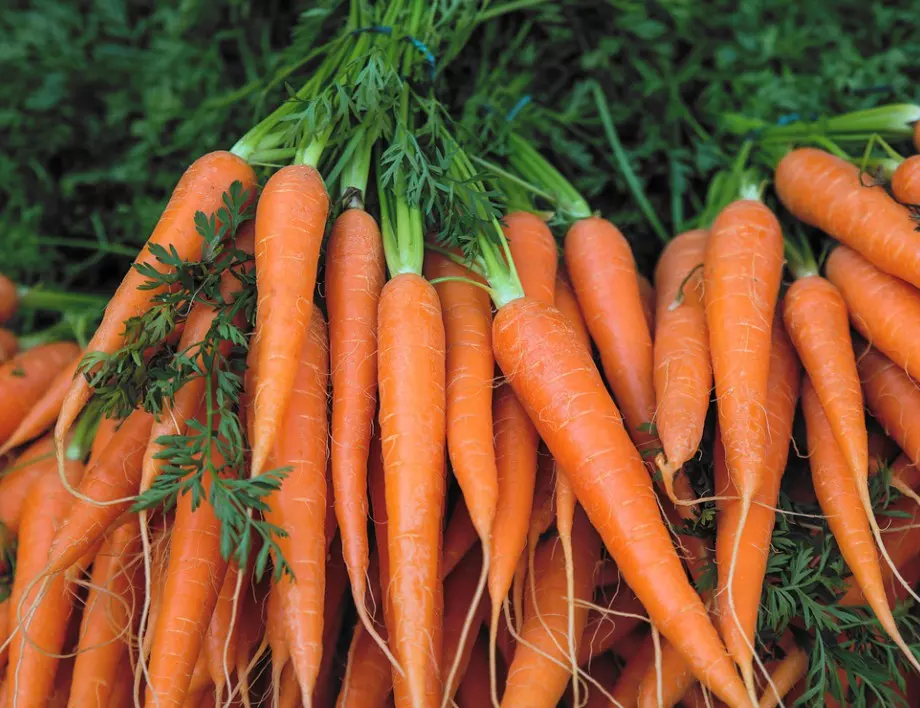 Вадете морковите си вечер, ако искате да са вкусни