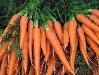 Най-добрият тор за едри и сладки моркови се приготвя така