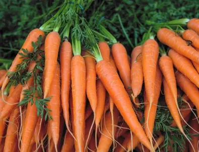 Торене на морковите по месеци - кога какъв тор се използва