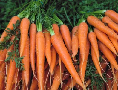 Първото торене на морковите - кога и как се прави, за да е богата реколтата им 