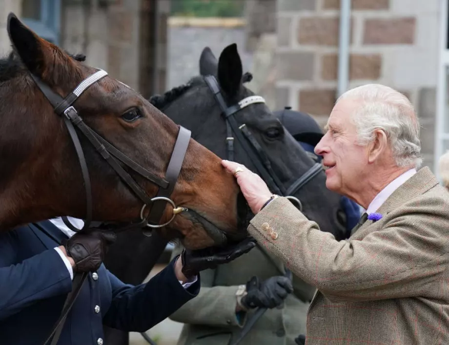 Крал Чарлз III вече разпродава състезателните коне на майка си