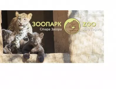 Търси се кръстник на новите обитатели на зоопарка в Стара Загора