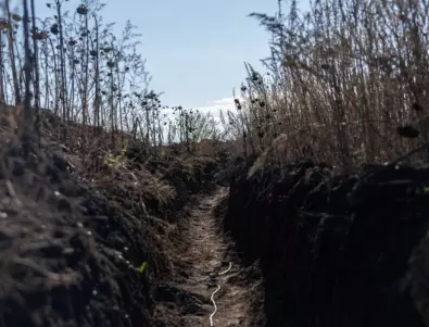 Руски войници се заразиха с антракс докато копаят окопи в Украйна