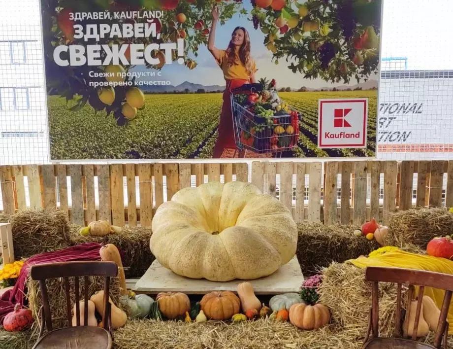 Kaufland кани децата на Празник на тиквата тази неделя