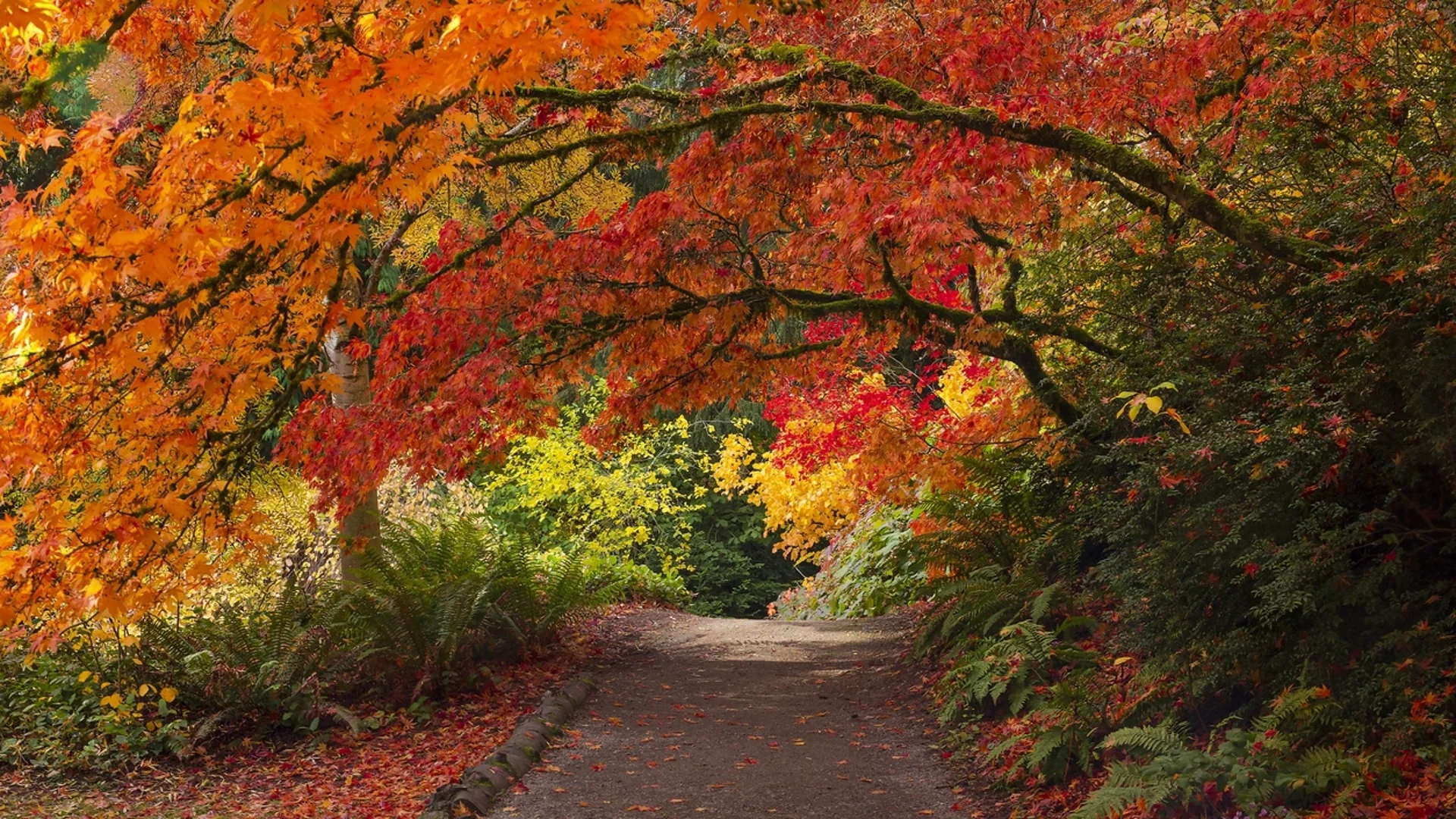 Прогноза за времето - 21 ноември 2023 г. (вторник)