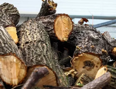 Има ли достатъчно дърва за зимата? Отговорът на властите