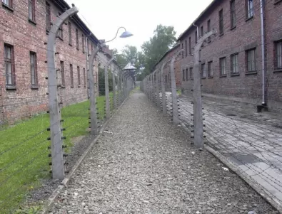 Осъдиха 97-годишна жена за нацистки военни престъпления