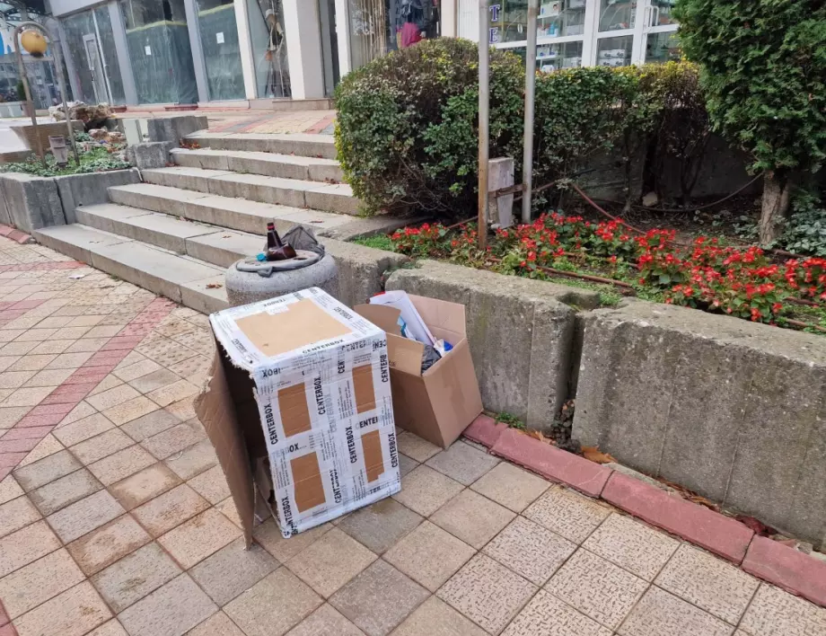 Община Добрич моли гражданите да си изхвърлят боклуците в кофите