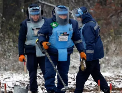 В Украйна се оплакват, че врани пренасят мините във вече проверени от сапьорите райони