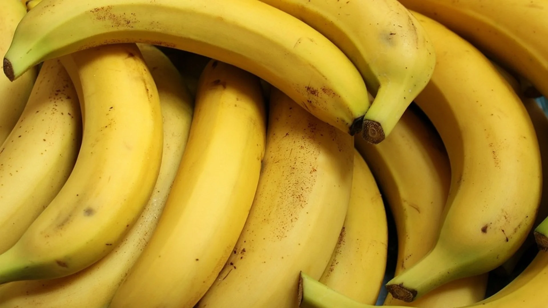 Откриха над 220 кг кокаин сред банани в магазини в Германия