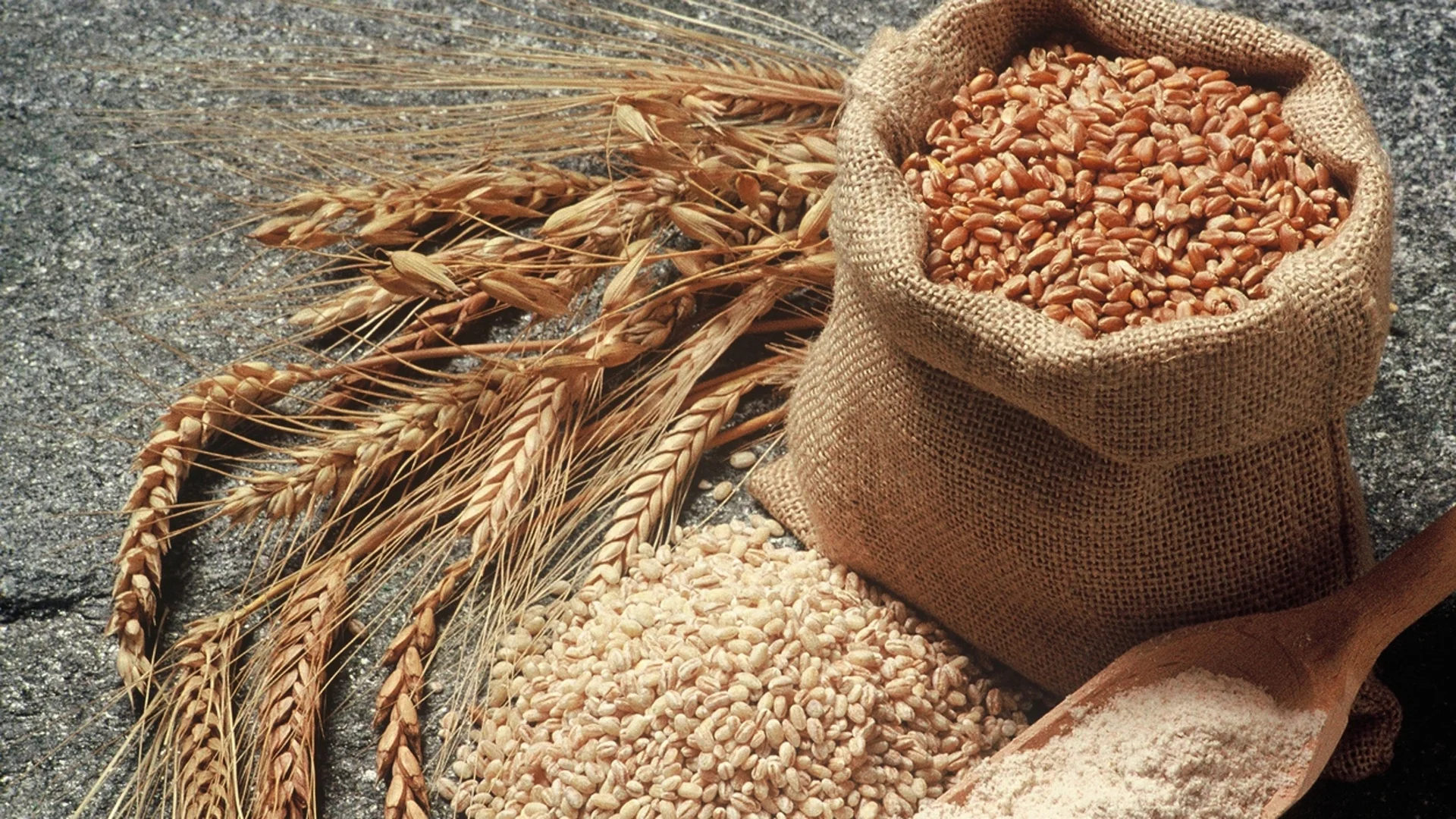 Каква е разликата между жито и пшеница?