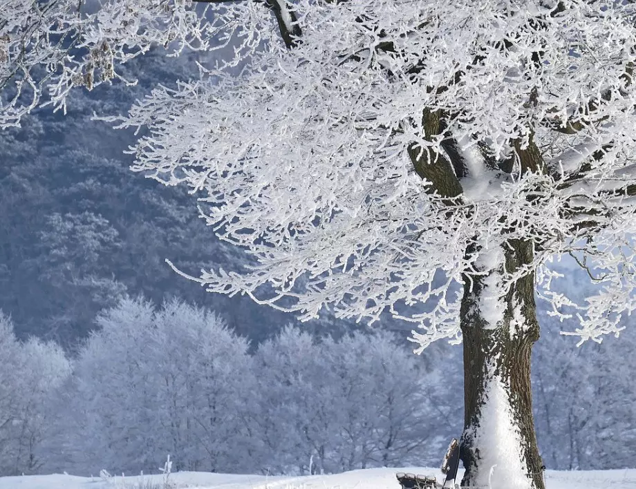 Заради обилния снеговалеж има още загинали в Япония