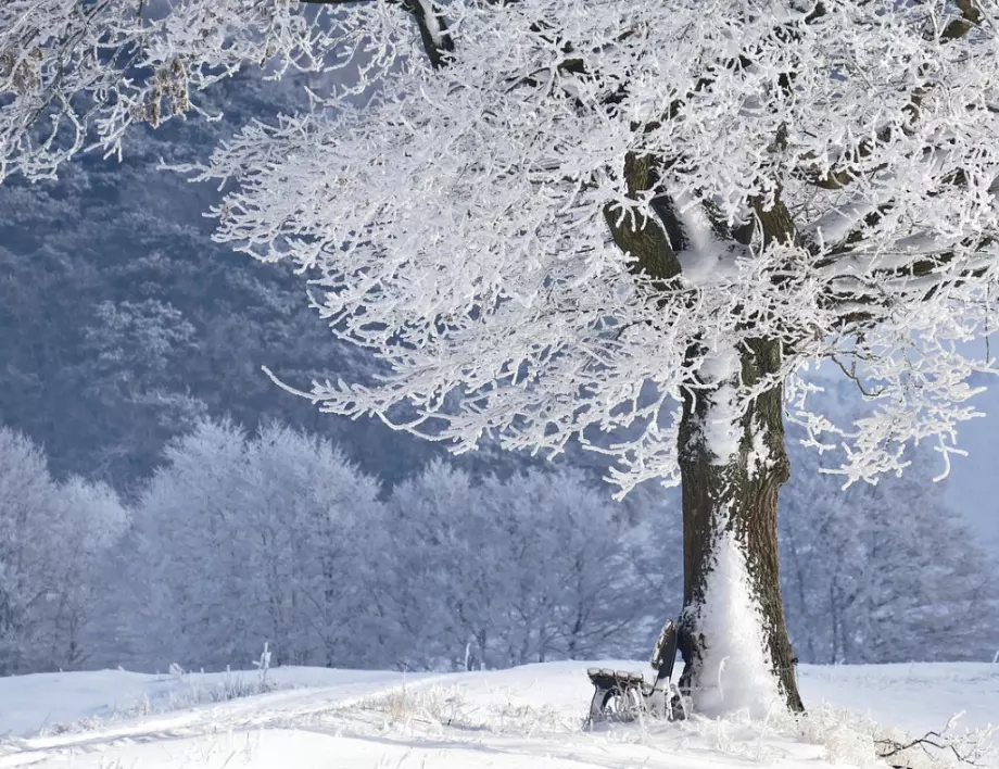 Навръх 18 ноември: Първи сняг в Родопите (СНИМКИ)