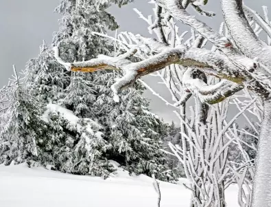 Сняг блокира румънска Трансилвания