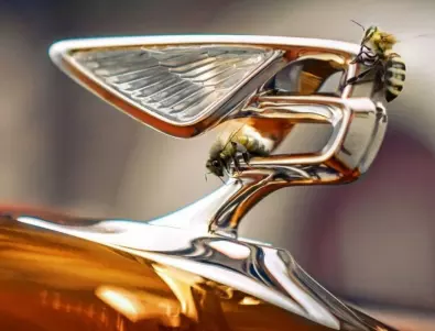 Bentley произведе рекордните 1000 буркана с мед