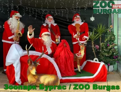 Зоопарк Бургас организира празнична програма до Бъдни вечер