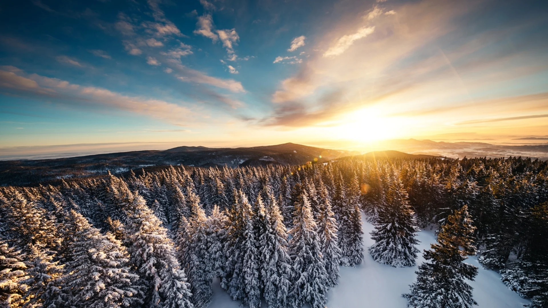 Прогноза за времето - 14 януари 2024 г. (неделя)