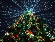 Защо украсяваме елха на Коледа