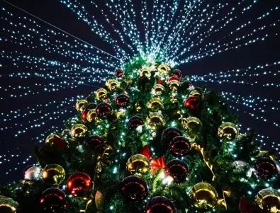 Защо украсяваме елха на Коледа