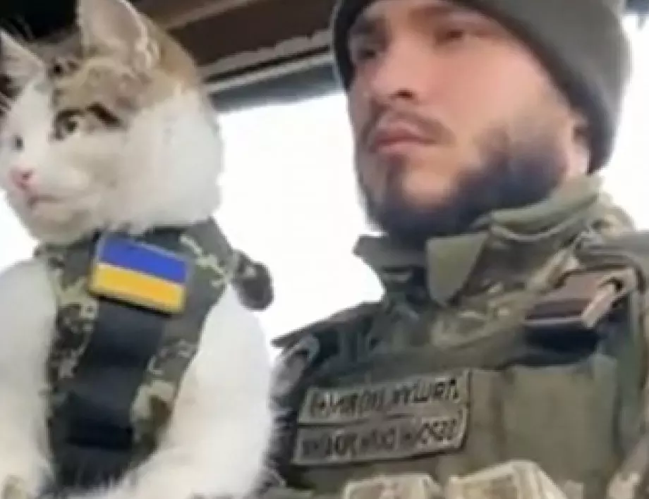 Котка стана "брат по оръжие" на украинците (ВИДЕО)