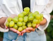 Учени разкриха по колко грозде на ден сваля холестерола