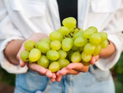 Как манджата с грозде да не се превърне в „манджа с грозде“?