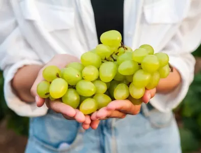 Може ли да ядете грозде, ако имате диабет?