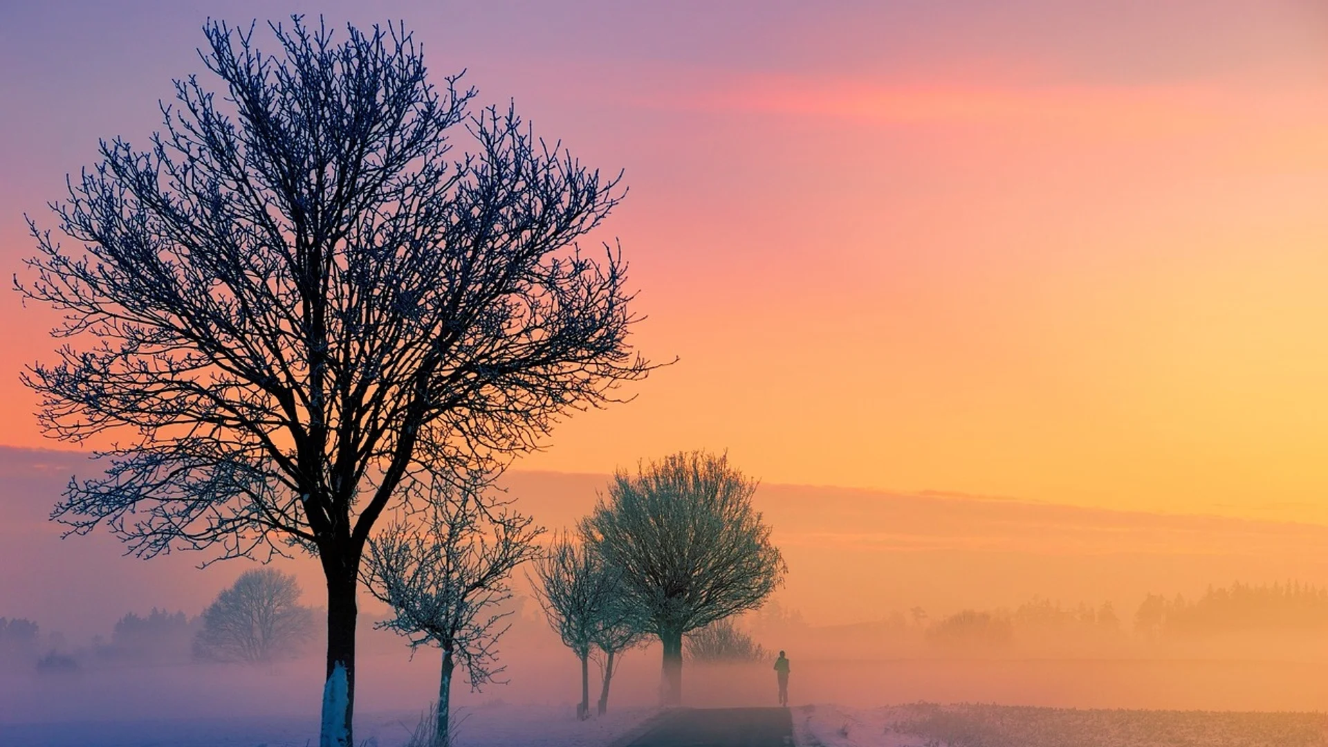 Прогноза за времето - 4 януари 2024 г. (четвъртък)