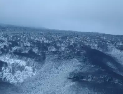 Сняг заваля на Витоша, хижа 
