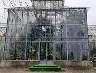 Вятърът изпочупи оранжериите на Ботаническата градина на БАН 