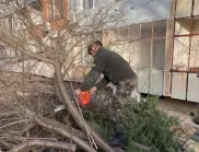 30 военни разчистват пораженията от силния вятър във Враца