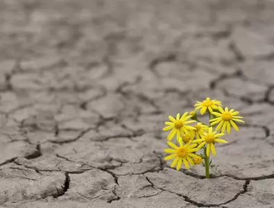 Италия назначи специален комисар за борба със сушата