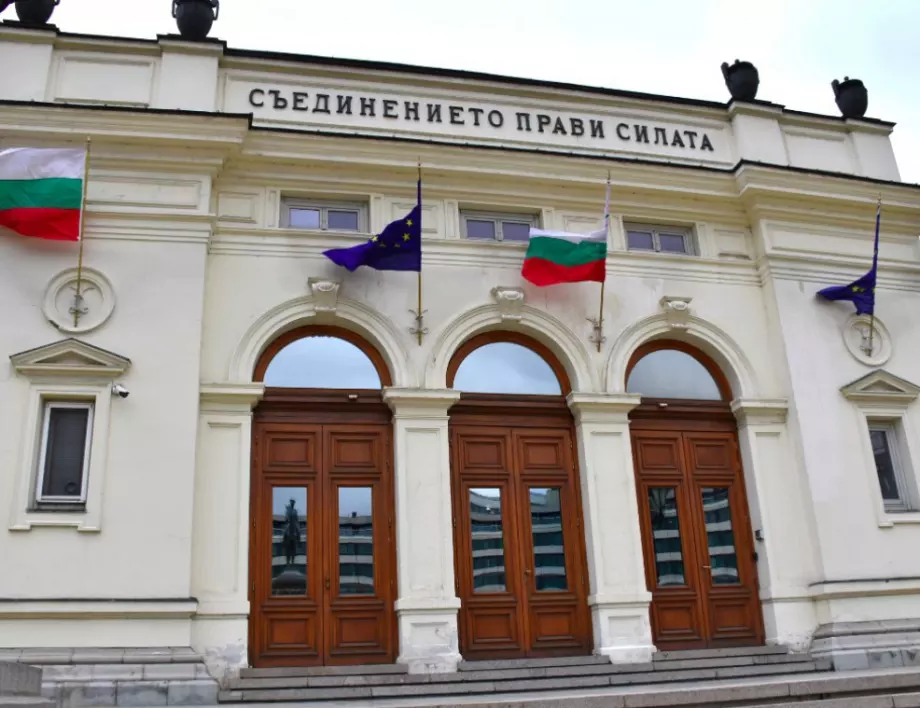 Кой и защо пръска отрова, страх и агресия в България