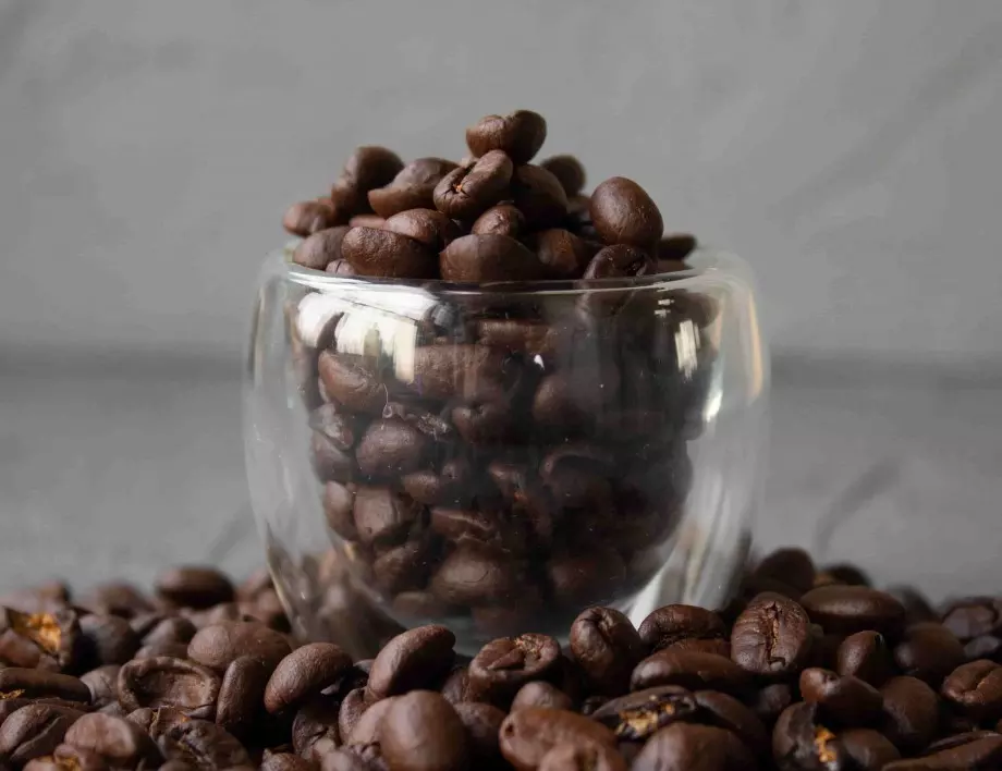 Каква е разликата между кафе робуста и кафе арабика на зърна?