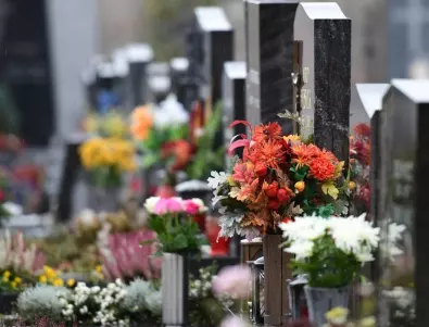 Какви цветя се носят на гробището?